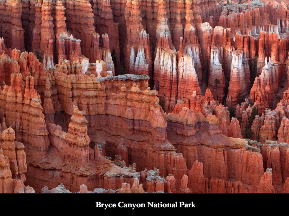 New Western Motel Main image